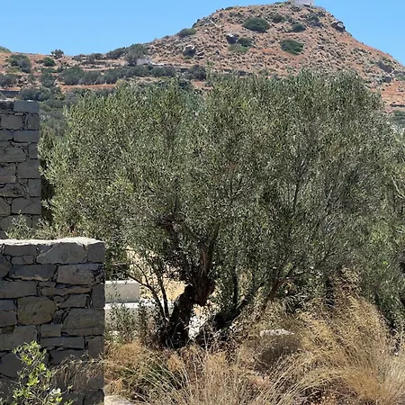 Areti Horizon Milos Island